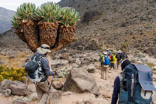 Climbing Kilimanjaro via Umbwe Route