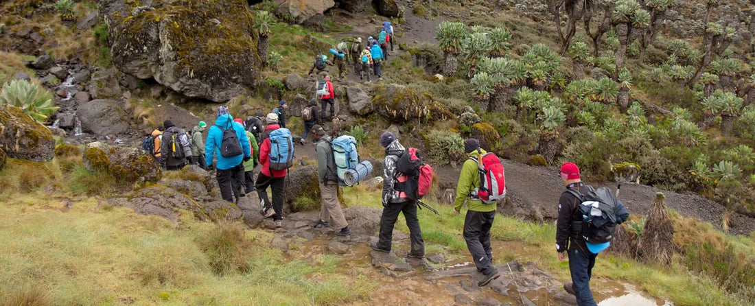 How to Choose the Right Route to Climb Kilimanjaro