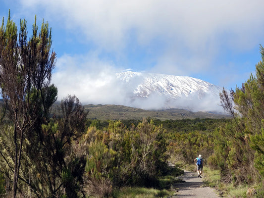 Climb Kilimanjaro via Rongai Route