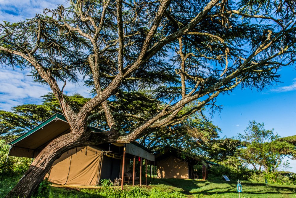 Ang'ata Ngorongoro Camp