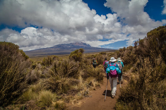 Climb Kilimanjaro via Lemosho Route