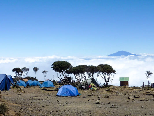 Climb Kilimanjaro via Northern Circuit